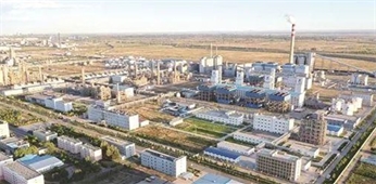 內(nèi)蒙古杉杉科技有限公司年產(chǎn)10萬噸鋰電池負(fù)極材料項(xiàng)目